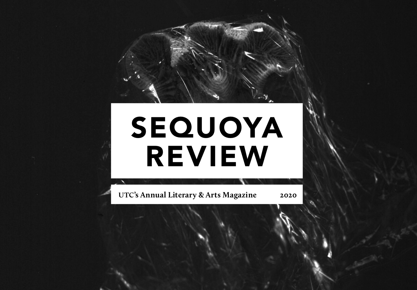 Sequoya Review